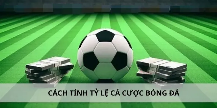 Khám Phá Thế Giới Cá Cược Bóng Đá SBOBET Hấp Dẫn
