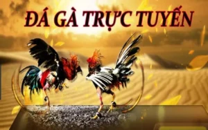 Chinh Phục Đá Gà GA28 SBOBET: Bí Kíp Thắng Lớn Đầy Hấp Dẫn