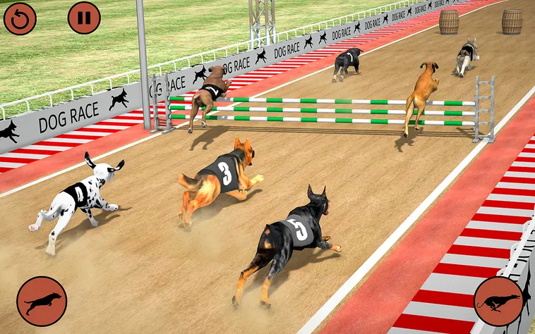 Thống Trị Game Nhanh Đua Chó Tại SBOBET: Bí Kíp Săn Thưởng Cực Hấp Dẫn