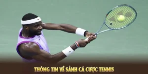 Chinh Phục Cá Cược Quần Vợt SBOBET Với Tỷ Lệ Thắng Cao