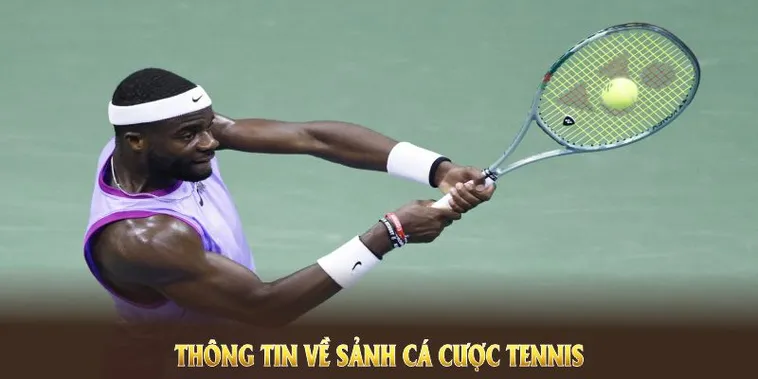 Chinh Phục Cá Cược Quần Vợt SBOBET Với Tỷ Lệ Thắng Cao